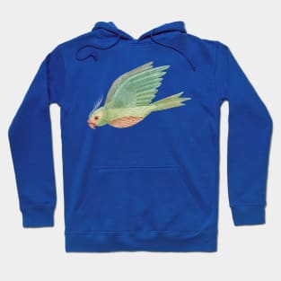 Parrot in Flight Hoodie